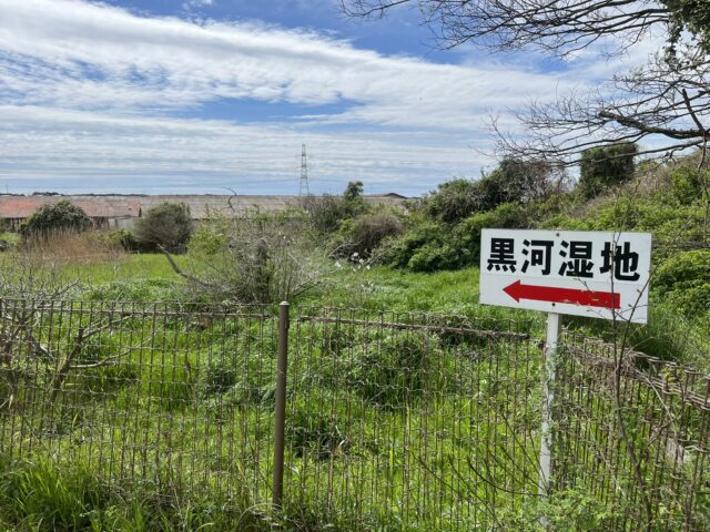 黒河湿地看板